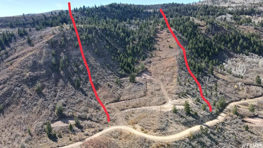 Drone / aerial view with a forest view and a mountain view