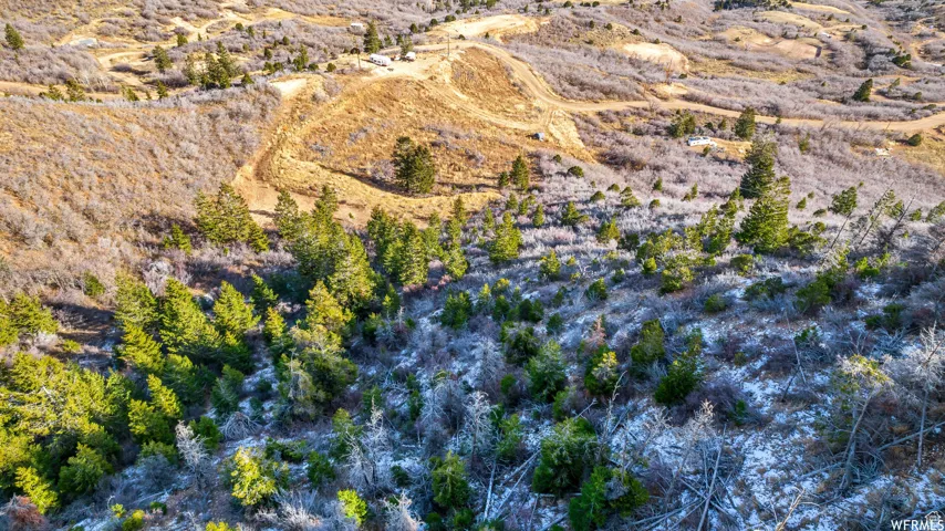 Drone / aerial view featuring a desert view