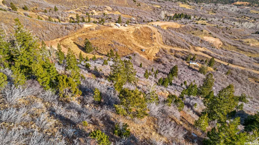 Drone / aerial view featuring a rural view