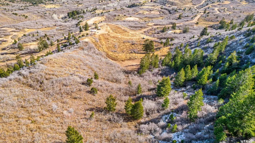 Drone / aerial view featuring a rural view and view of desert
