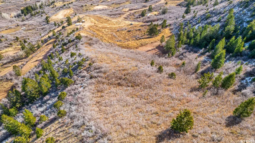 Drone / aerial view with a rural view and view of desert