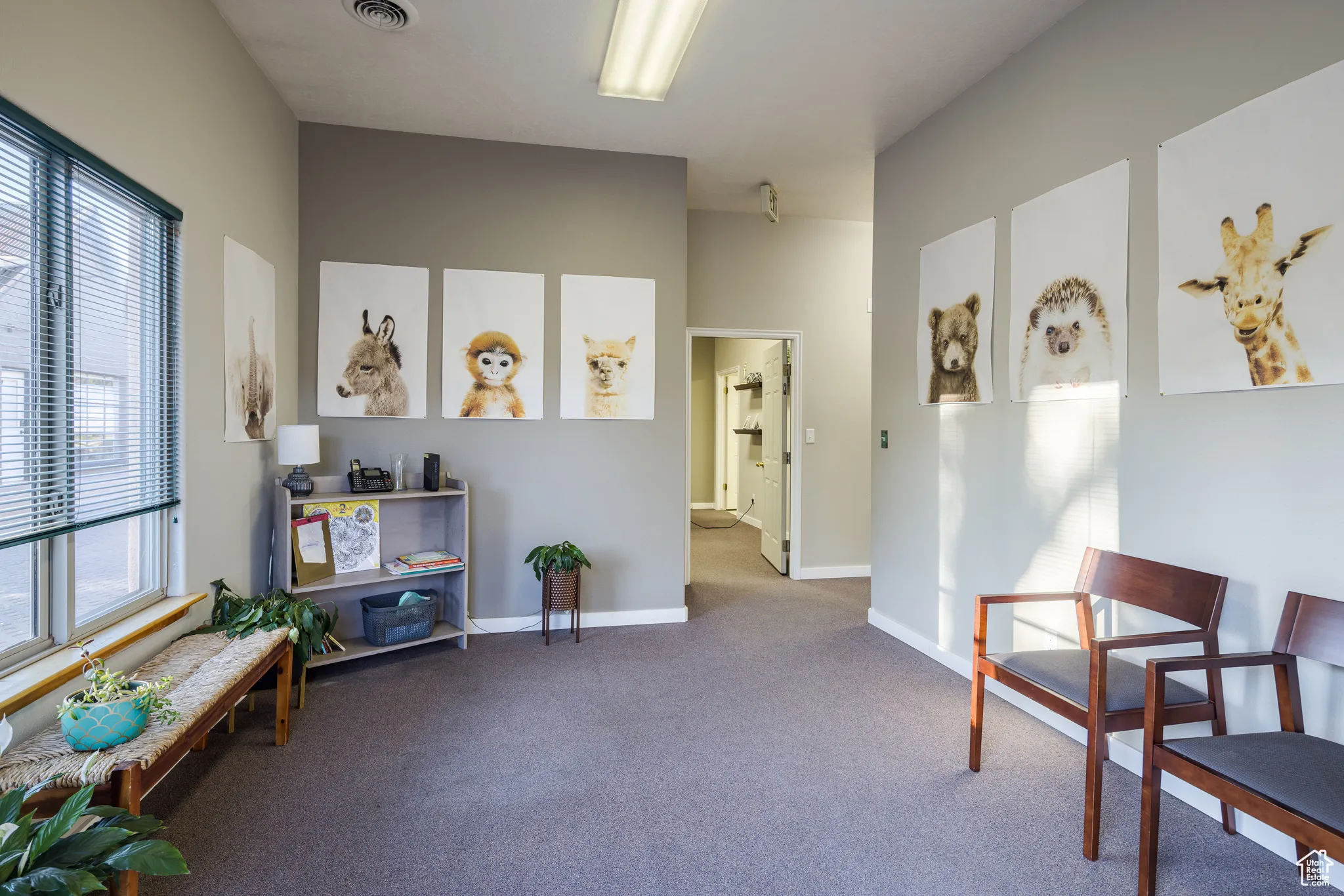 Living area with baseboards, visible vents, and carpet
