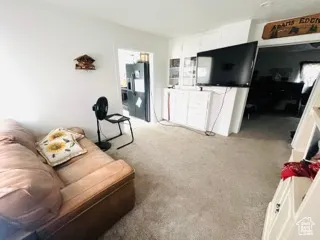 Living room with light colored carpet