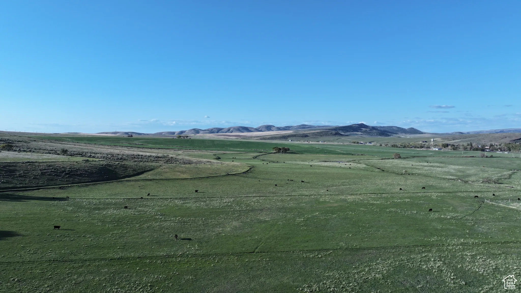 View of property's community with a mountain view