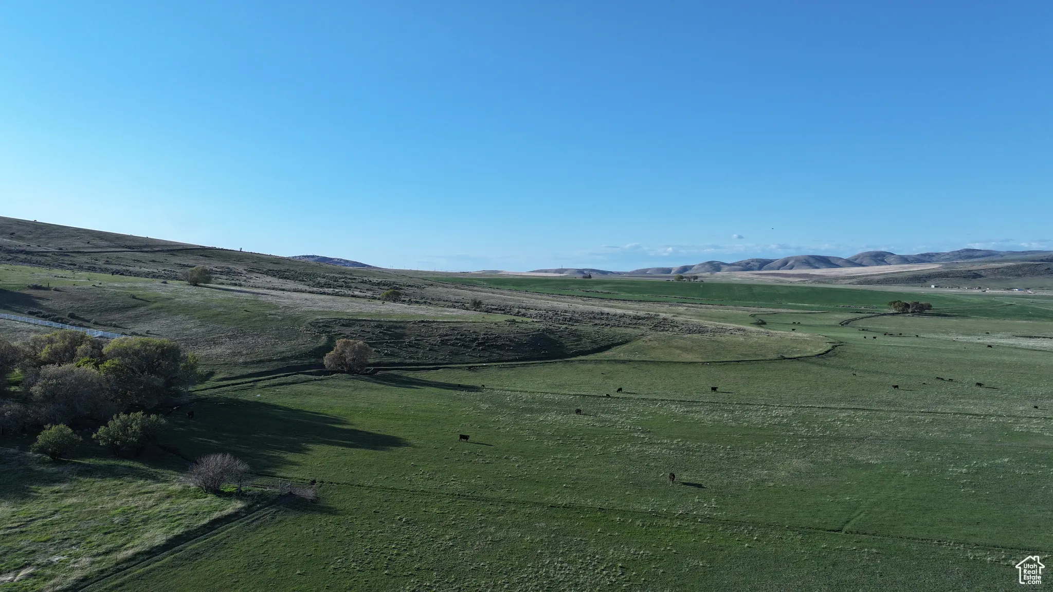 View of community with a mountain view