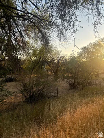 View of nature