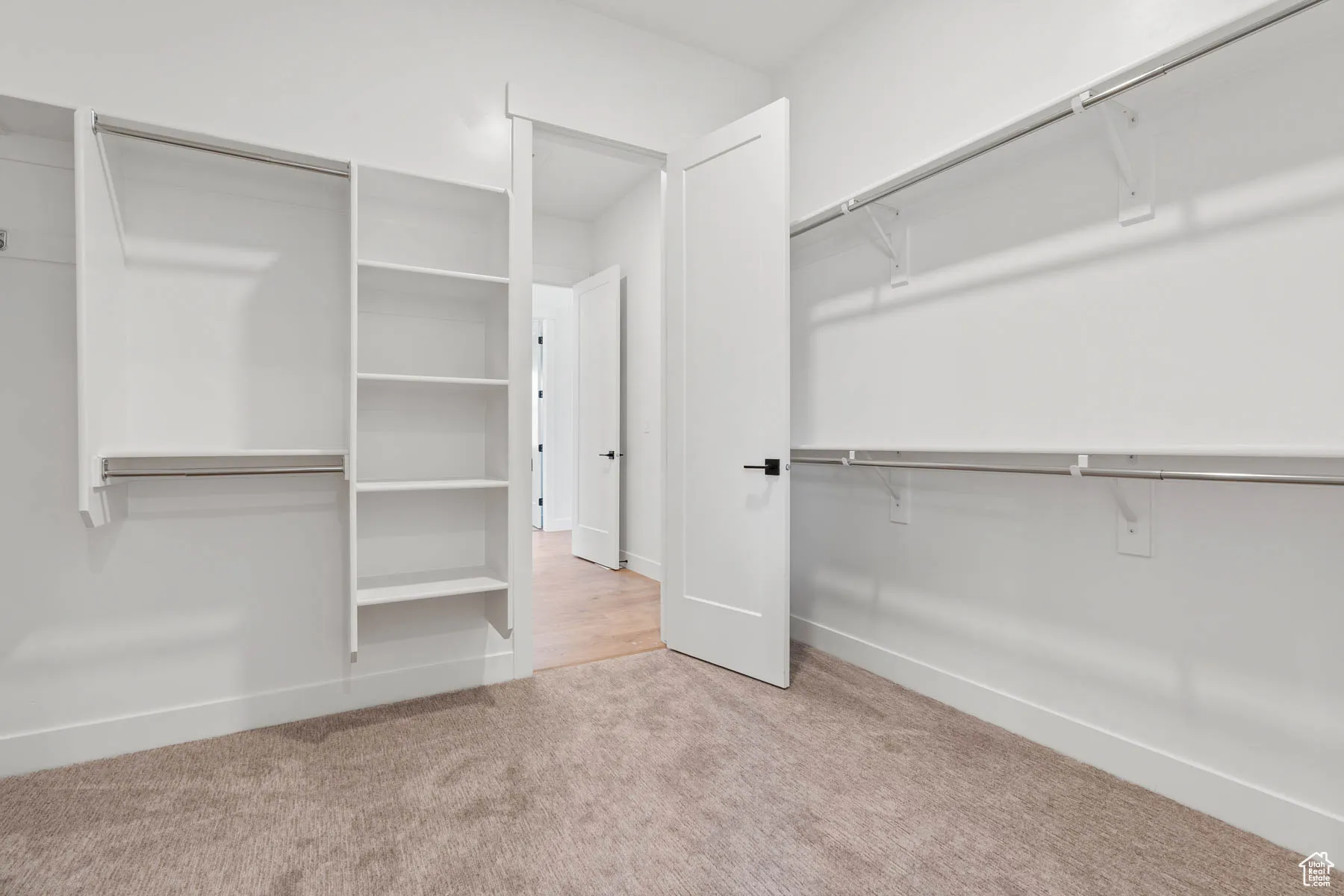 Walk in closet featuring carpet floors