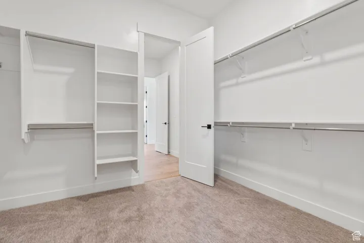Walk in closet featuring carpet floors