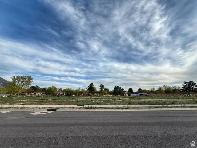 View of road featuring curbs and sidewalks