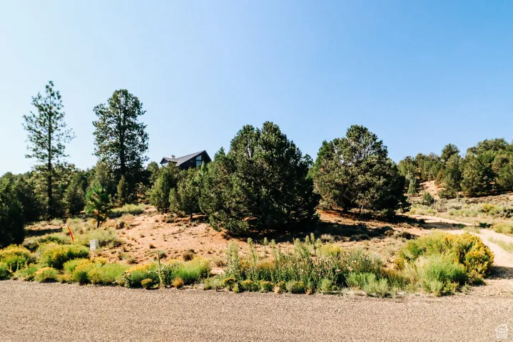 View of nature