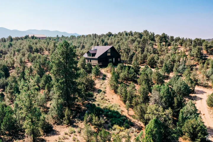 Aerial view of property's location featuring a forest