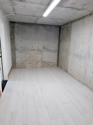 Concrete walls and ceiling in a room featuring light wood-finish flooring