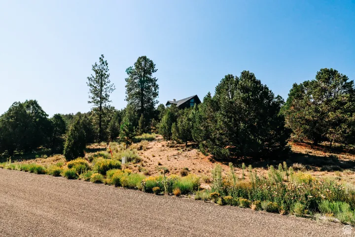 View of undeveloped land