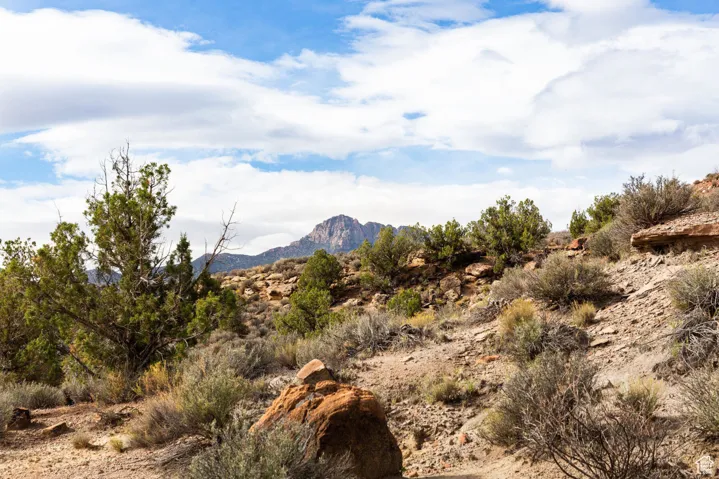 View of mountain background