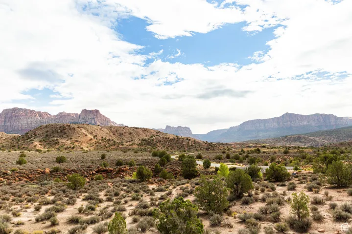 View of mountain background with a desert landscape