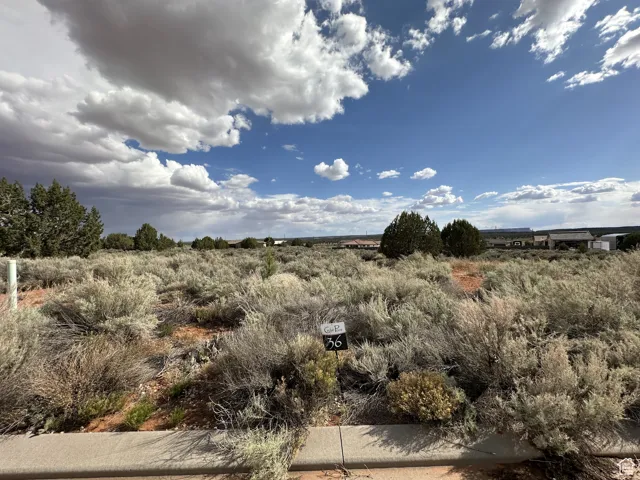 View of local wilderness