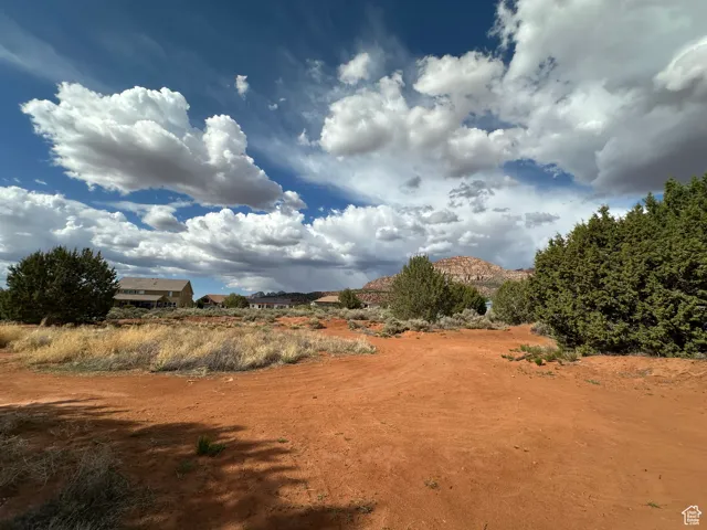 View of local wilderness