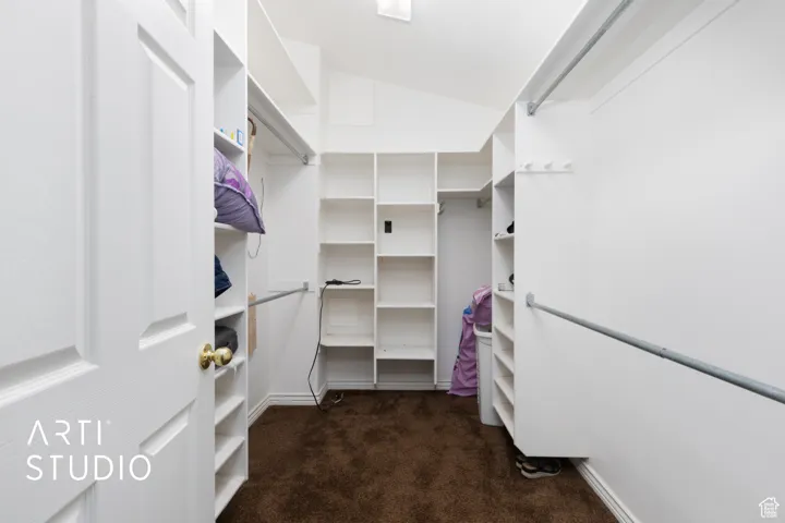 Spacious closet with dark colored carpet