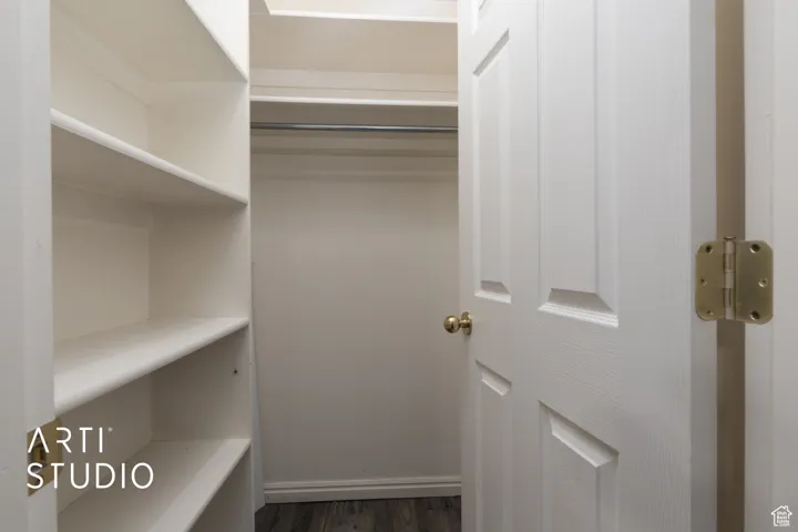 Spacious closet featuring dark wood-style flooring