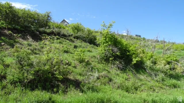 View of nature