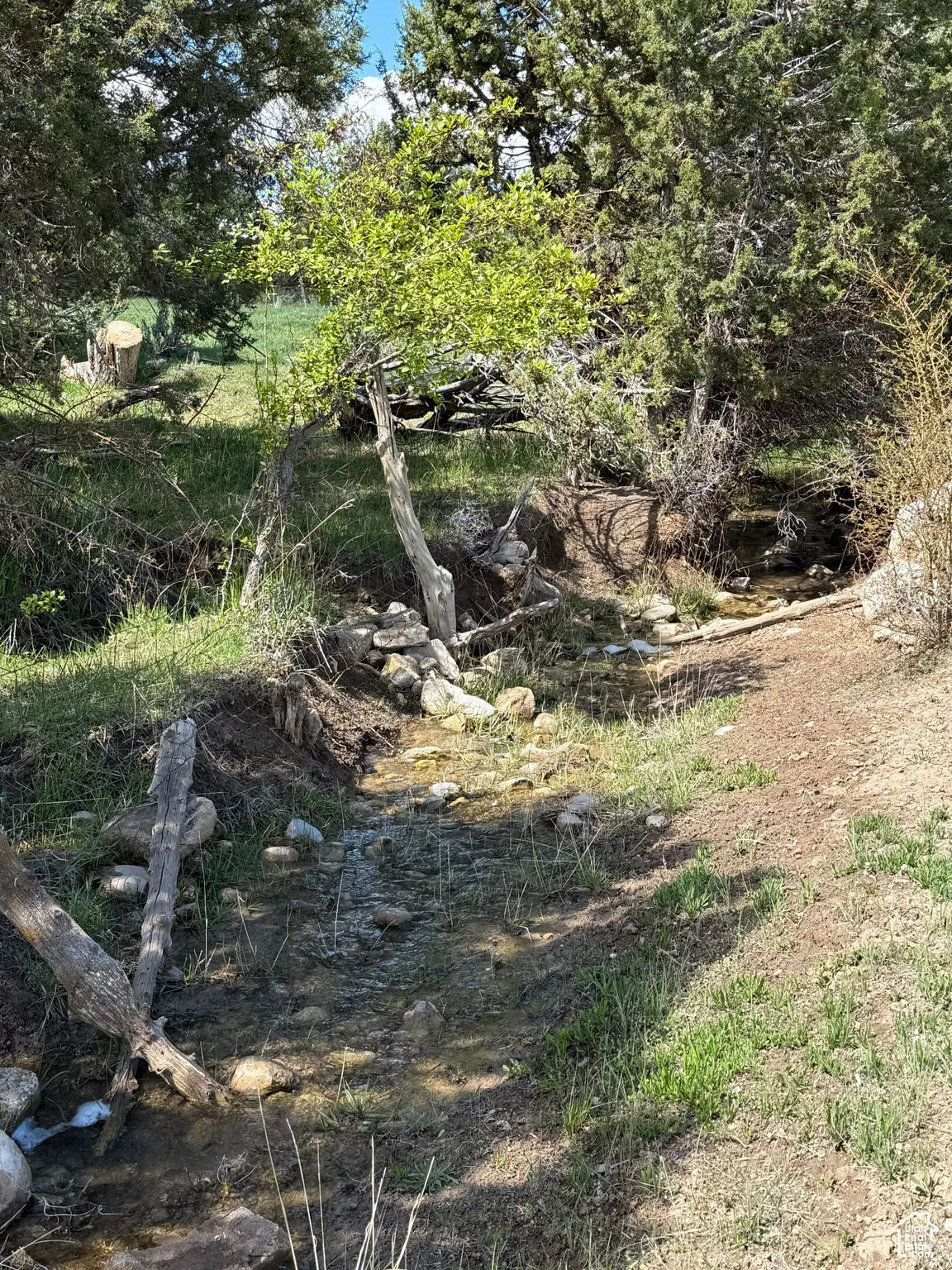 View of undeveloped land