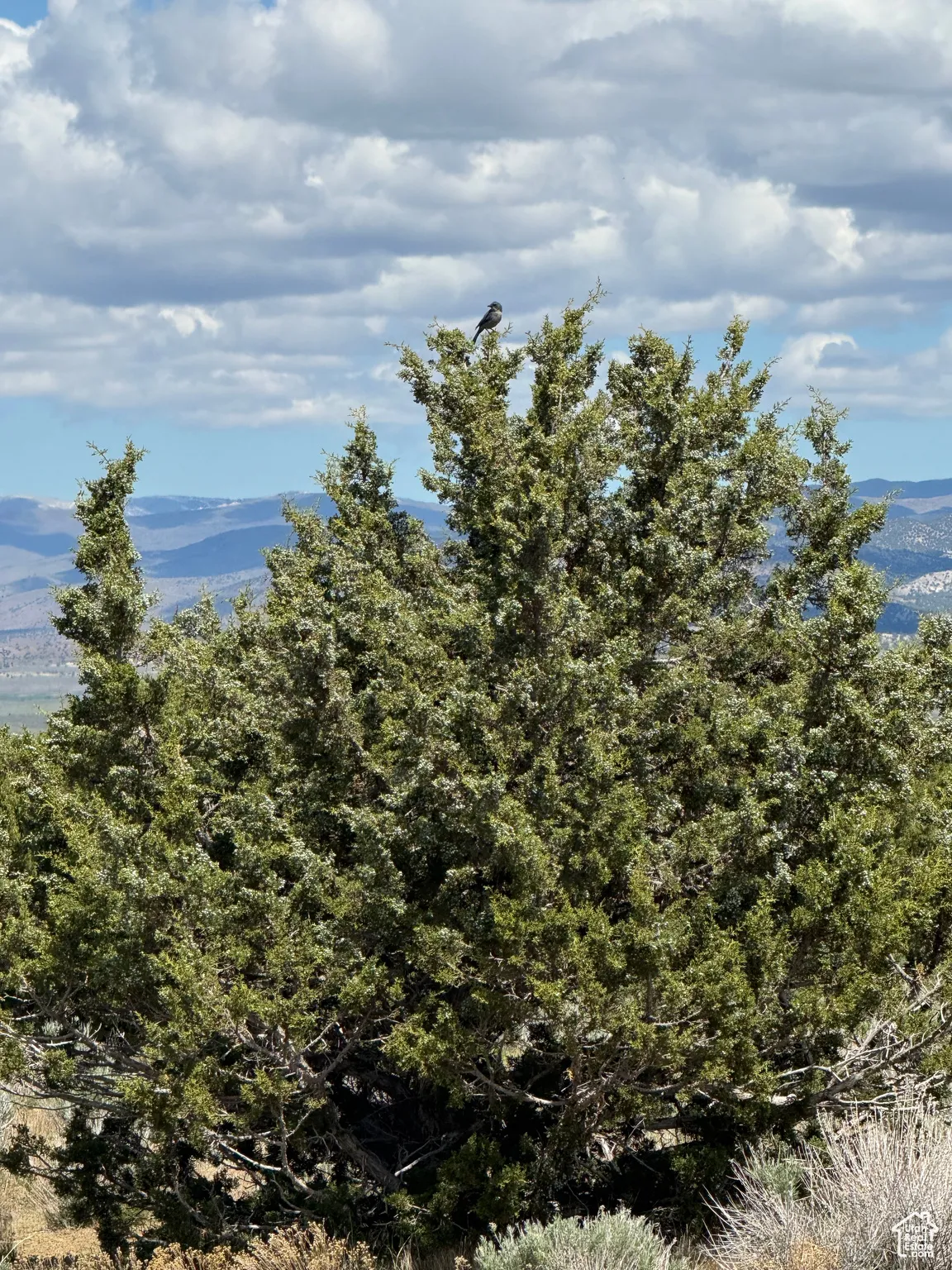 View of mountain backdrop