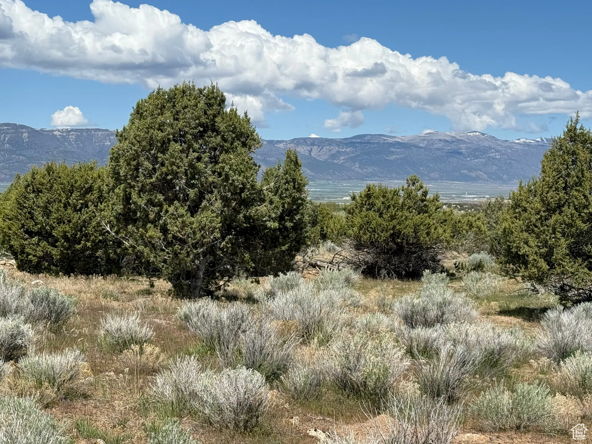 View of mountain background