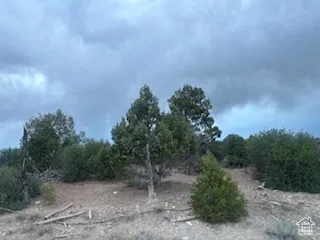 11 N Sage Dr, Monticello, Utah 84535