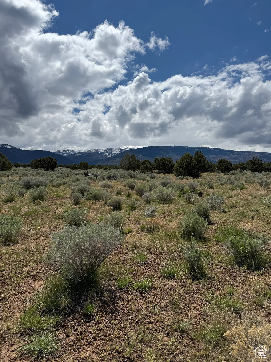 View of mountain background