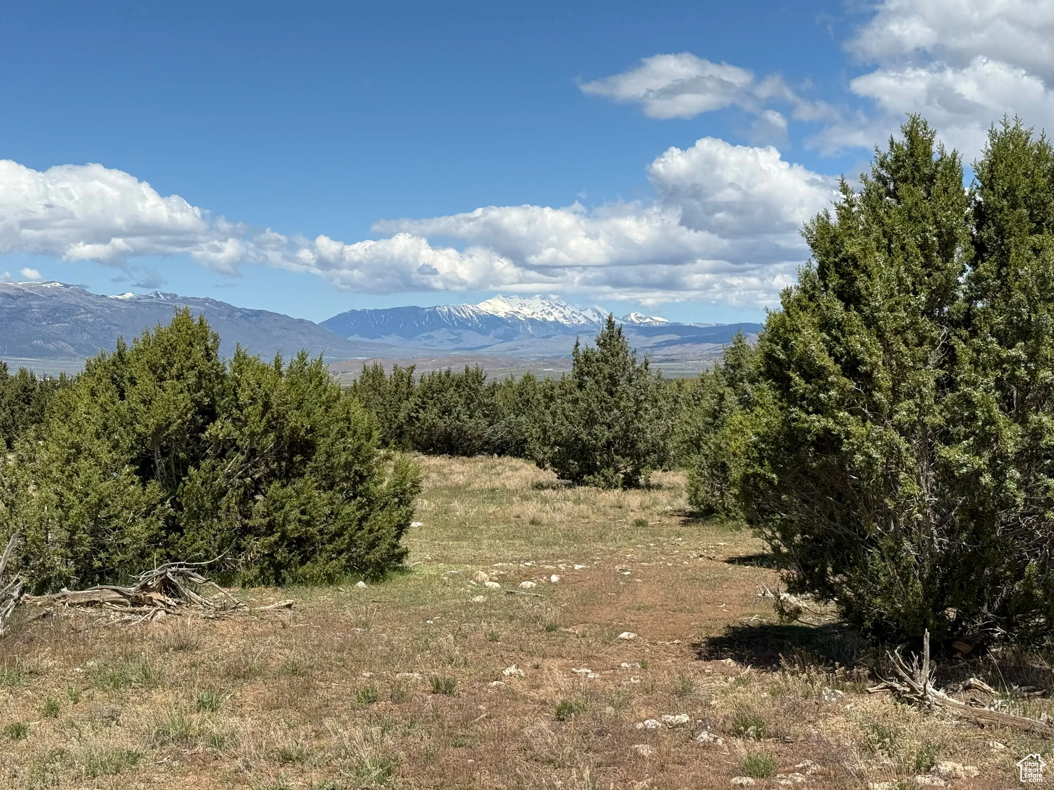 View of mountain background
