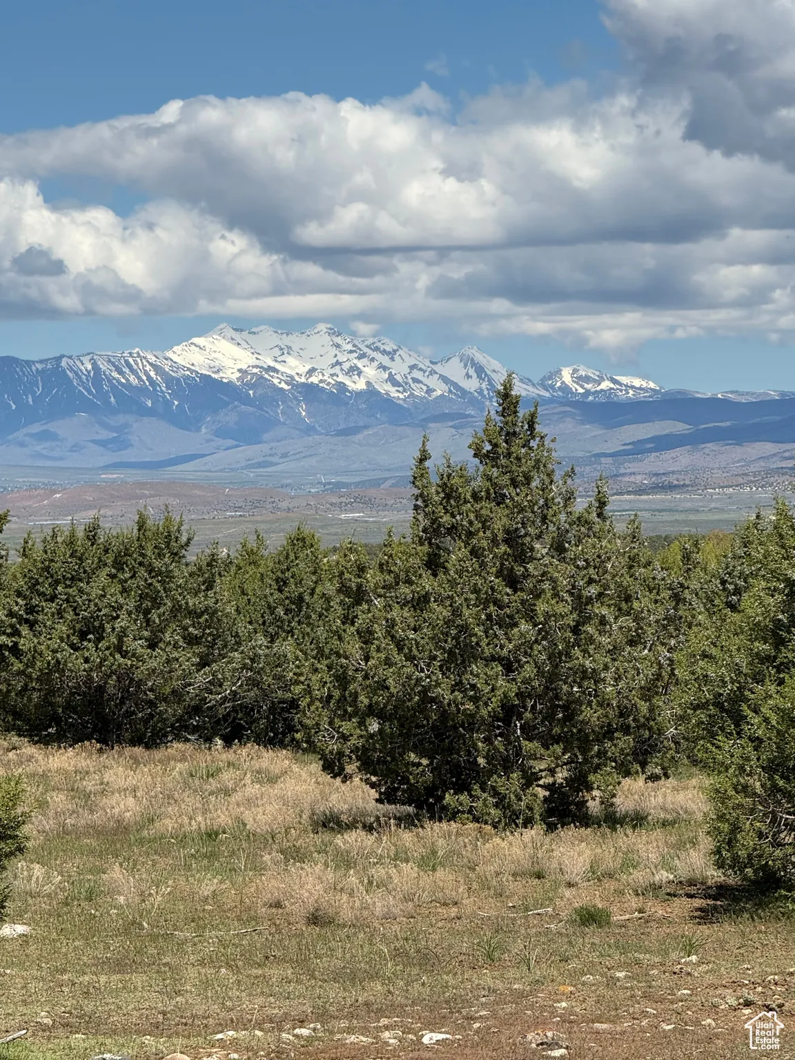 View of mountain background