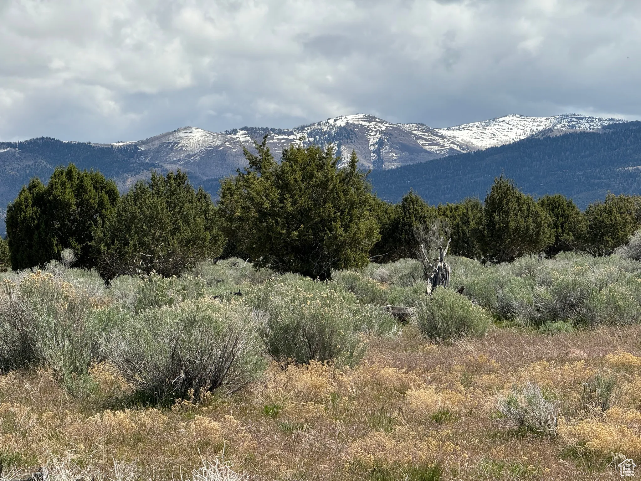 View of mountain background