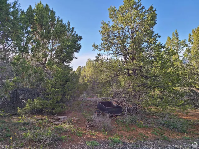 View of wooded area