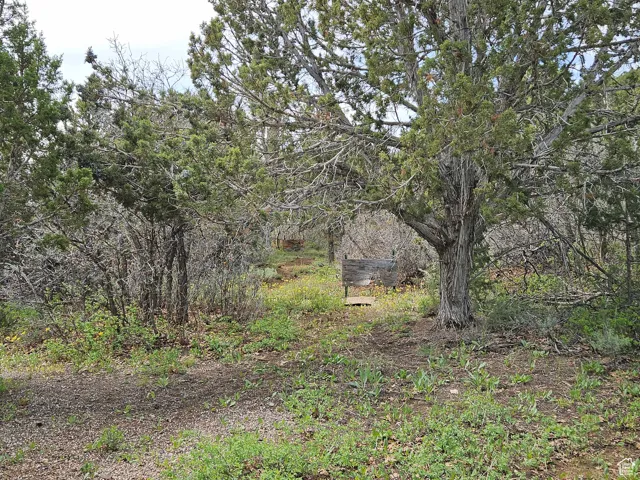 View of nature