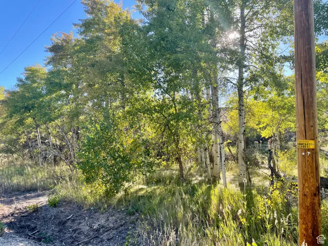 View of property trees from highway