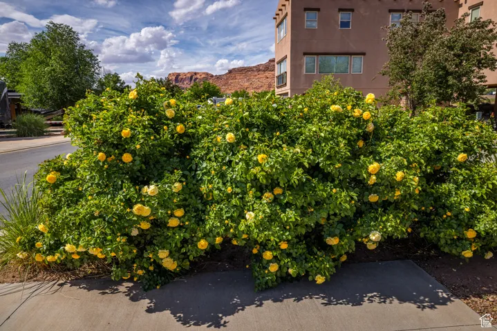 1261 N Main Rubicon Trail, Moab, Utah 84532