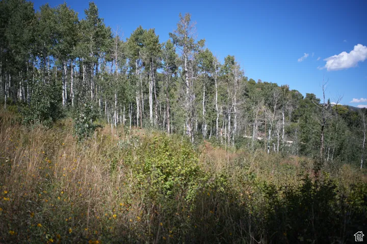2481 Forest Meadow Rd, Wanship, Utah 84017