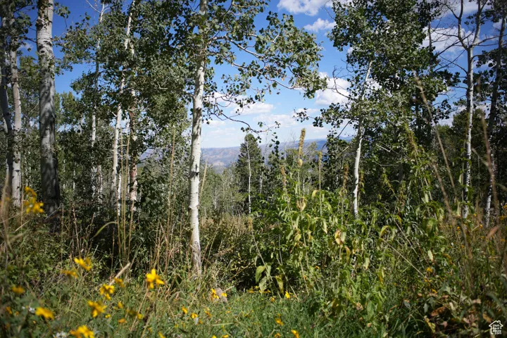 2481 Forest Meadow Rd, Wanship, Utah 84017