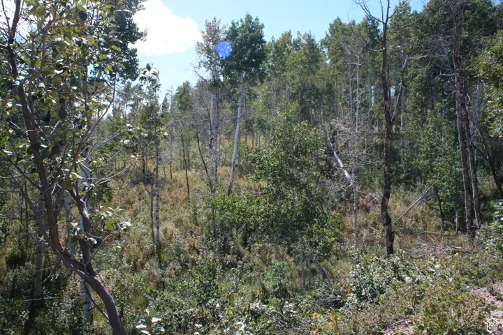 2481 Forest Meadow Rd, Wanship, Utah 84017