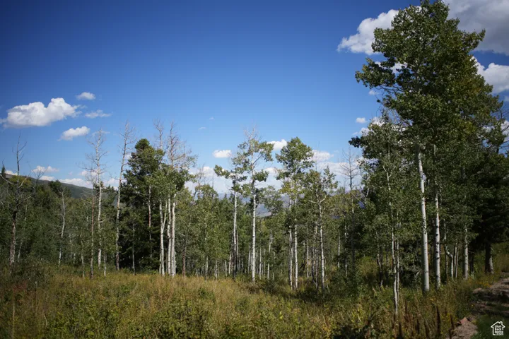 2481 Forest Meadow Rd, Wanship, Utah 84017