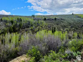 View of mountain backdrop featuring a forest