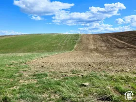 View of local wilderness featuring rural landscape