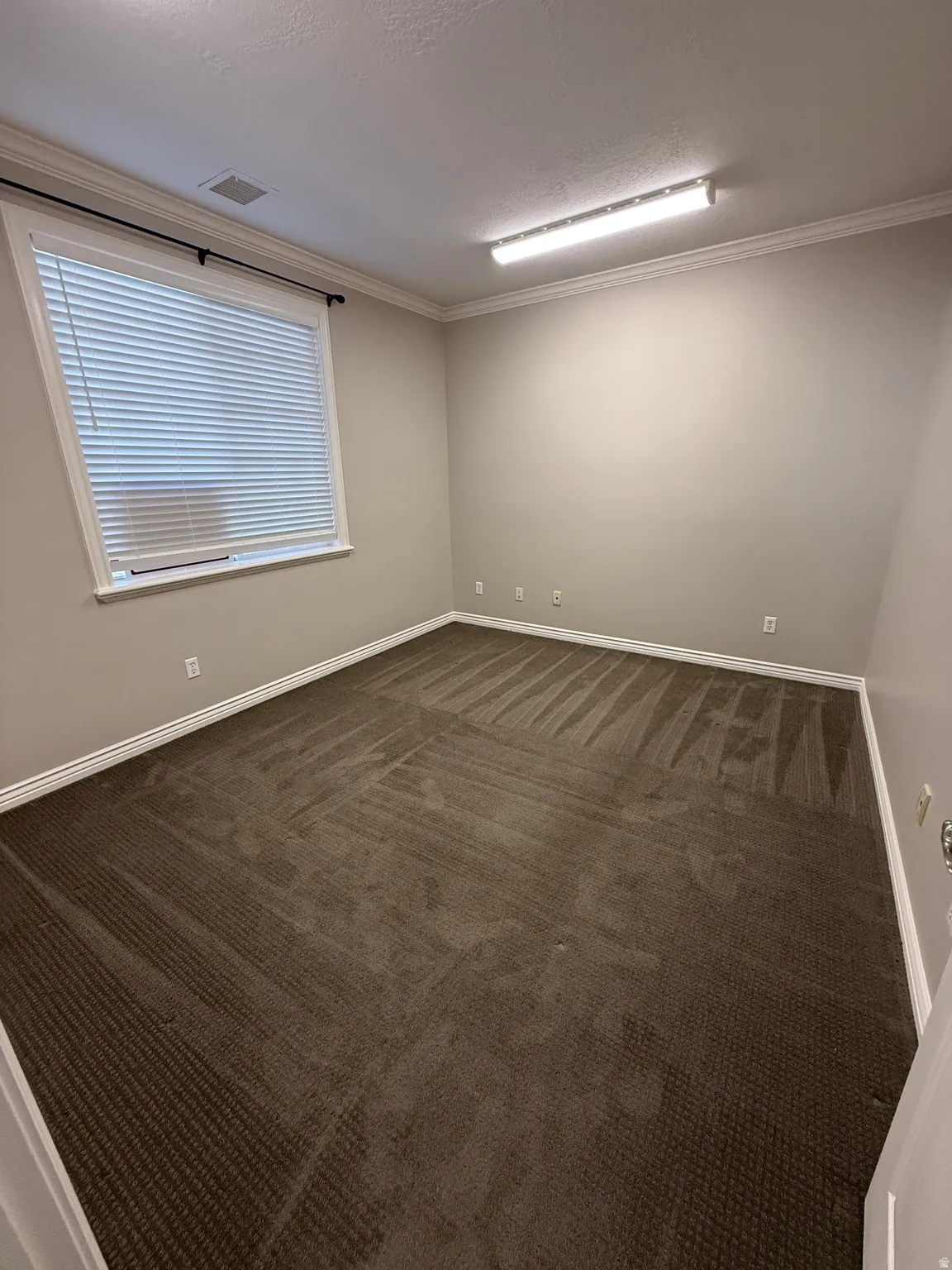 Suite 210. New carpet