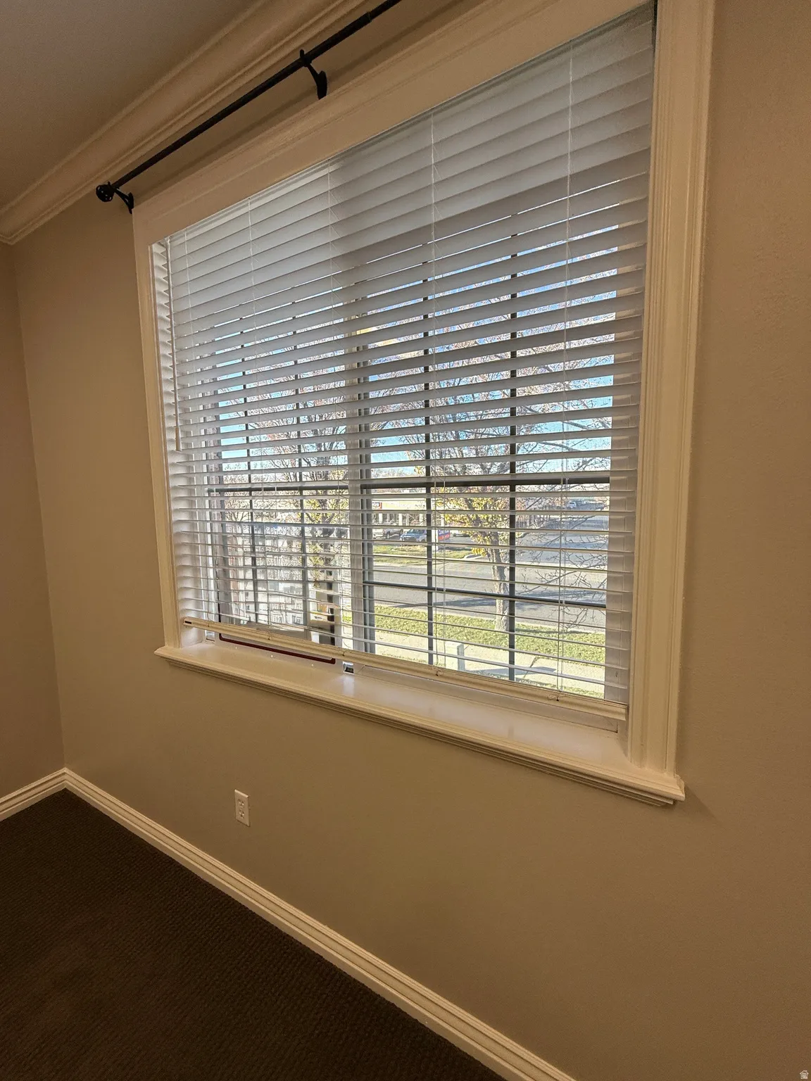 Suite 210 Detailed view of crown molding and carpet floors