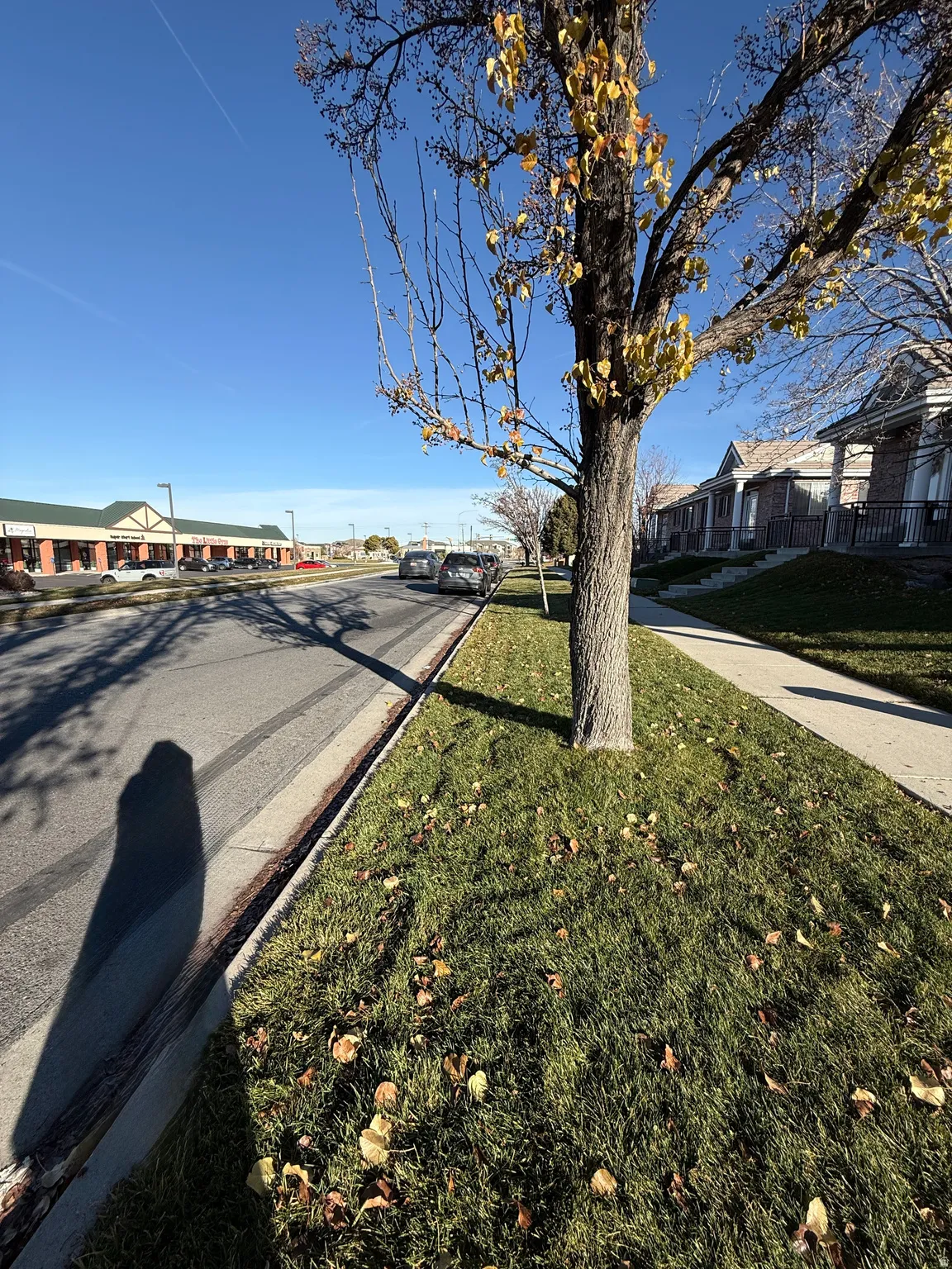 View from west entrance