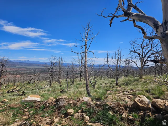 Beautiful Property Views