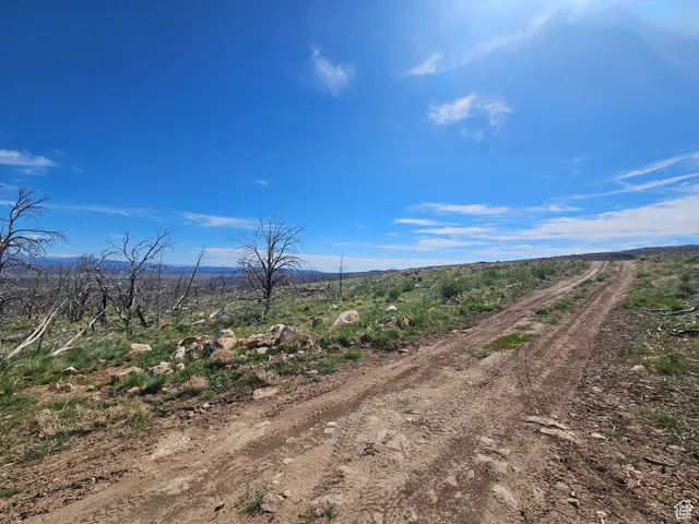 Access road