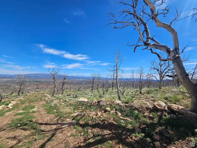Property Views