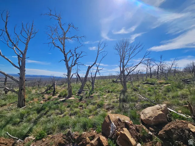 Beautiful Property Views