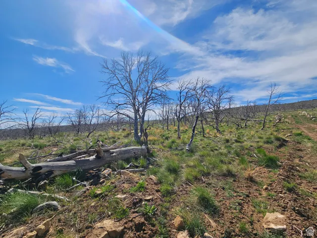Beautiful Property Views
